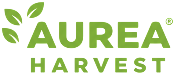 Aurea Harvest